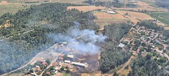 זירת השריפה ביער הנשיא // צילום: דוברות כיבוי והצלה